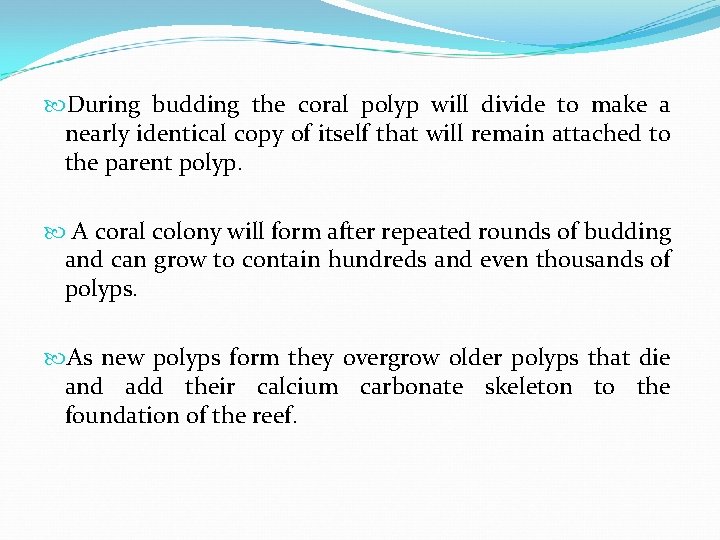  During budding the coral polyp will divide to make a nearly identical copy