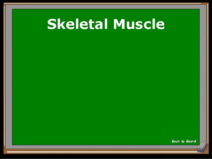 Skeletal Muscle Back to Board 