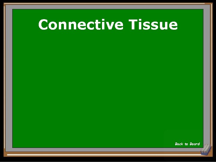 Connective Tissue Back to Board 
