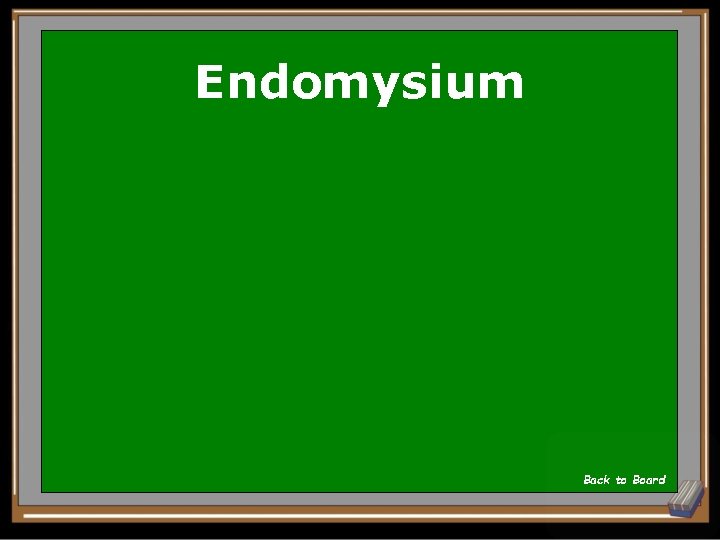 Endomysium Back to Board 
