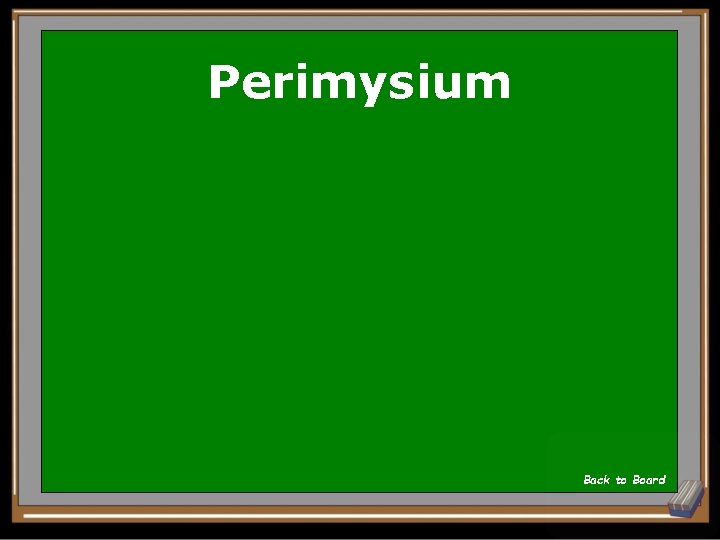 Perimysium Back to Board 