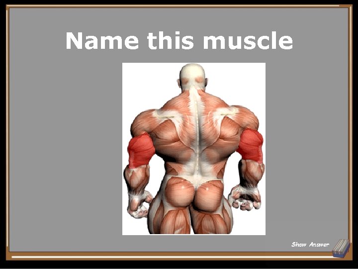 Name this muscle Show Answer 