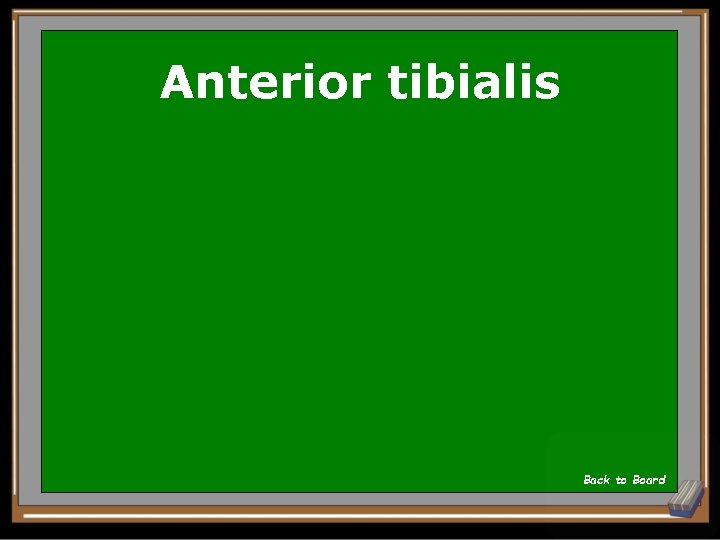 Anterior tibialis Back to Board 
