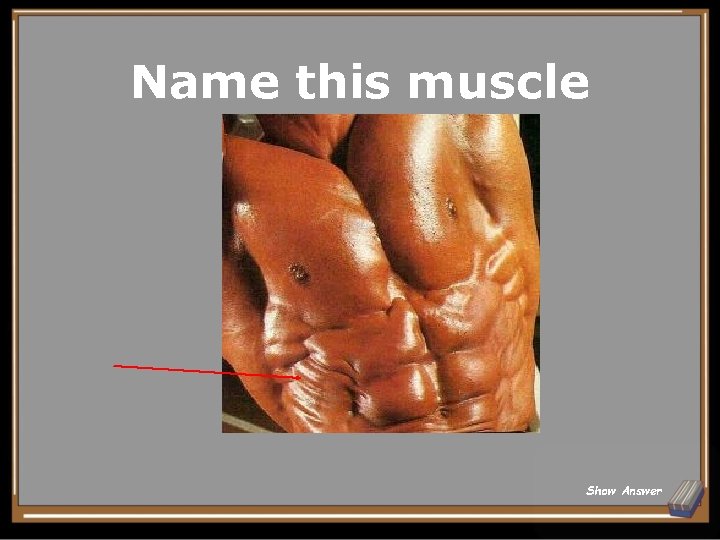 Name this muscle Show Answer 