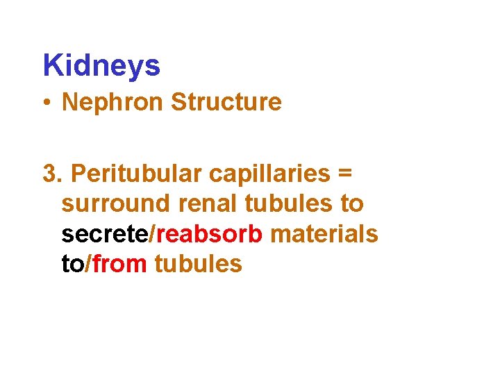 Kidneys • Nephron Structure 3. Peritubular capillaries = surround renal tubules to secrete/reabsorb materials