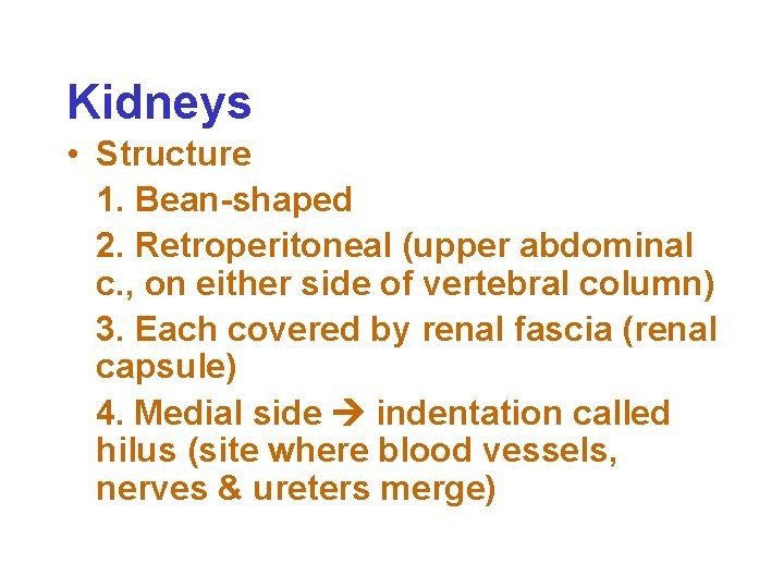 Kidneys • Structure 1. Bean-shaped 2. Retroperitoneal (upper abdominal c. , on either side