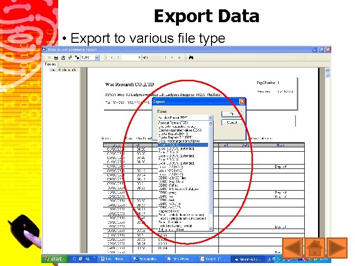 Export Data • Export to various file type 