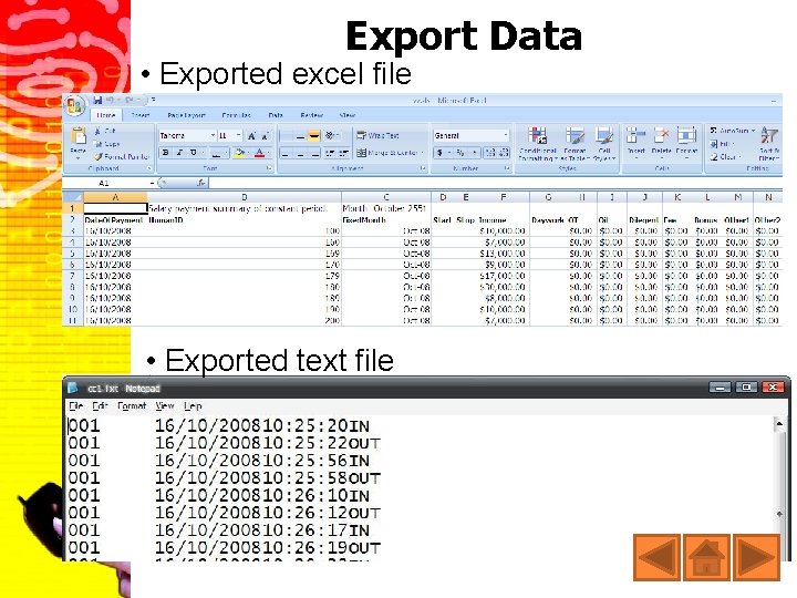 Export Data • Exported excel file • Exported text file 