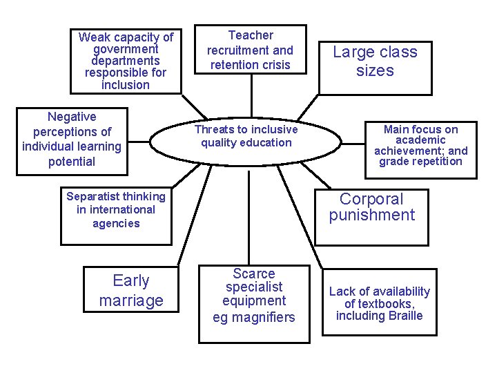 Weak capacity of government departments responsible for inclusion Negative perceptions of individual learning potential