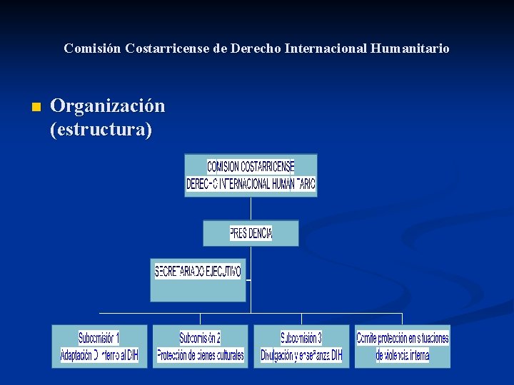 Comisión Costarricense de Derecho Internacional Humanitario n Organización (estructura) 