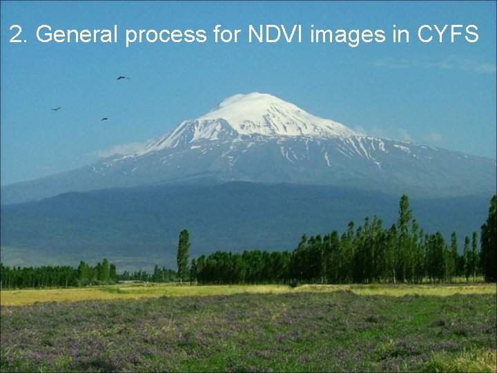 2. General process for NDVI images in CYFS 