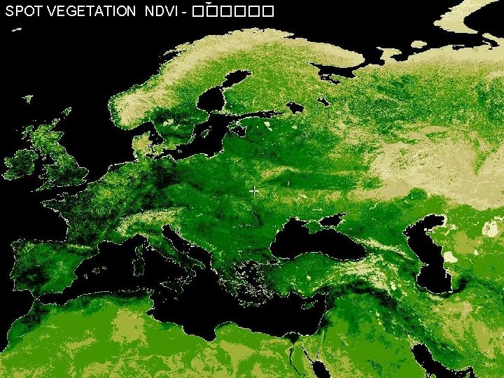 SPOT VEGETATION NDVI - ������ 