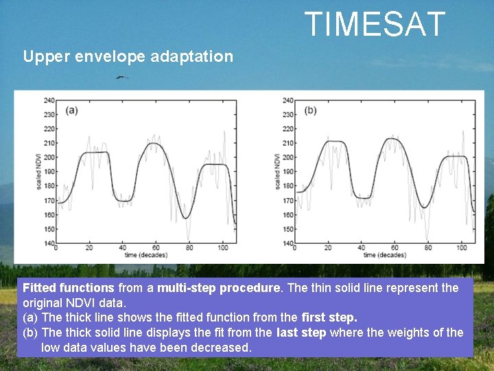 TIMESAT Upper envelope adaptation Fitted functions from a multi-step procedure. The thin solid line