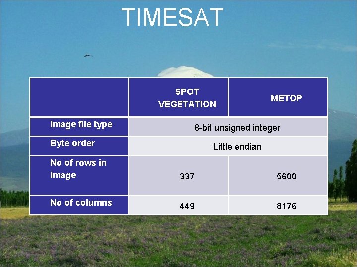 TIMESAT Image file type SPOT VEGETATION METOP 8 -bit unsigned integer Byte order Little