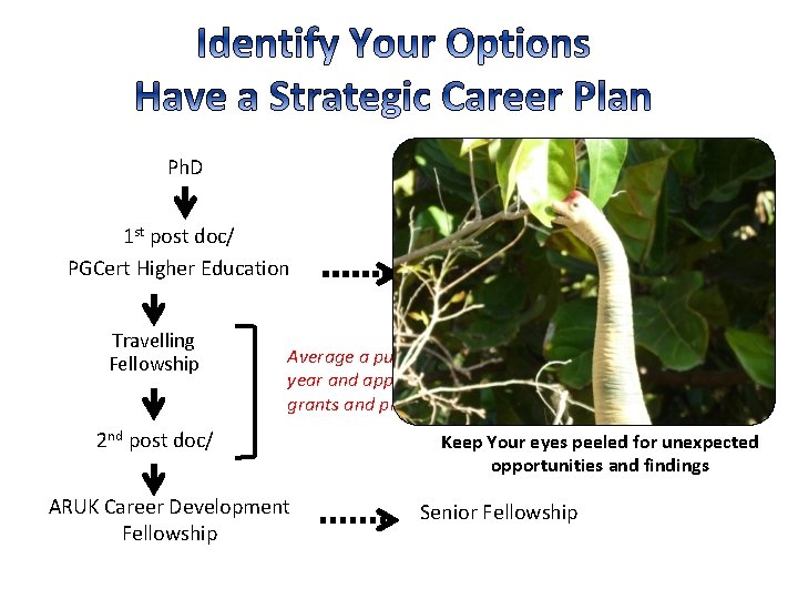 Ph. D 1 st post doc/ PGCert Higher Education Travelling Fellowship Lecturer/ Teaching Average Ph. D 1 st post doc/ PGCert Higher Education Travelling Fellowship Lecturer/ Teaching Average