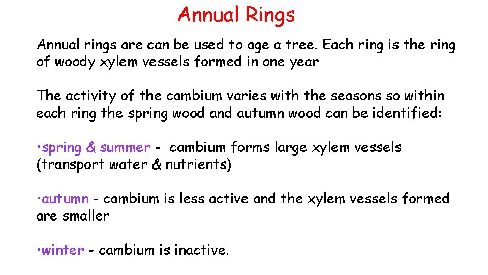 Annual Rings Annual rings are can be used to age a tree. Each ring Annual Rings Annual rings are can be used to age a tree. Each ring