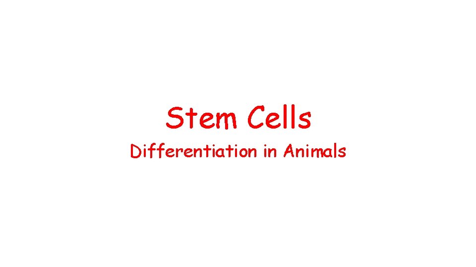 Stem Cells Differentiation in Animals Stem Cells Differentiation in Animals