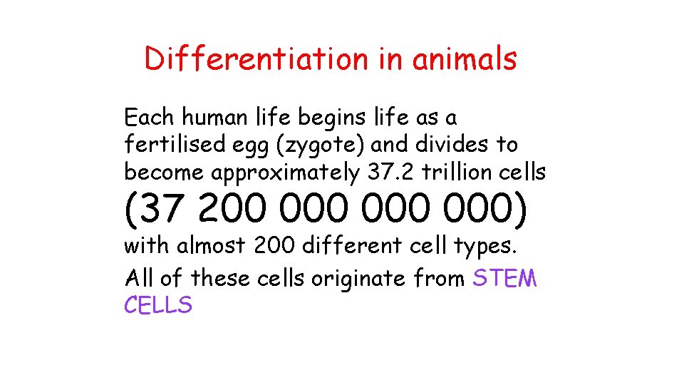 Differentiation in animals Each human life begins life as a fertilised egg (zygote) and Differentiation in animals Each human life begins life as a fertilised egg (zygote) and