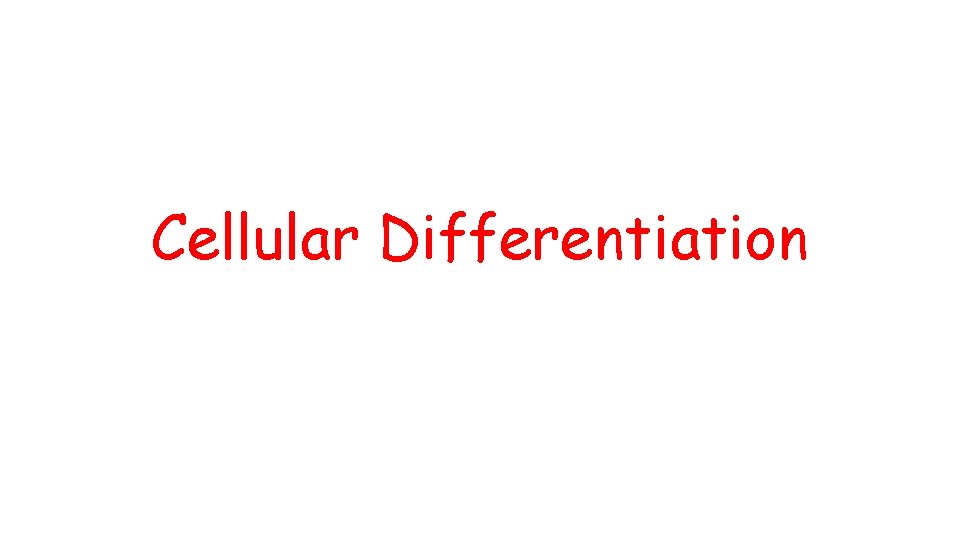 Cellular Differentiation Cellular Differentiation