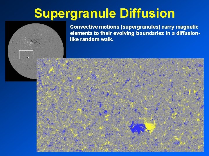 Supergranule Diffusion Convective motions (supergranules) carry magnetic elements to their evolving boundaries in a
