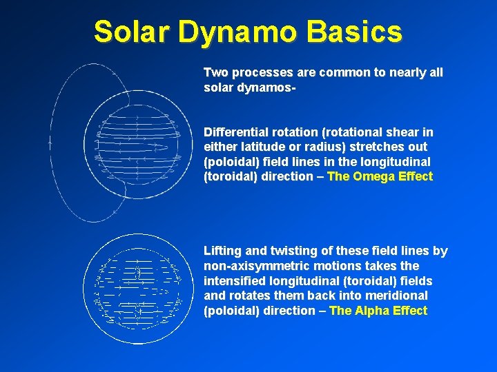 Solar Dynamo Basics Two processes are common to nearly all solar dynamos. Differential rotation
