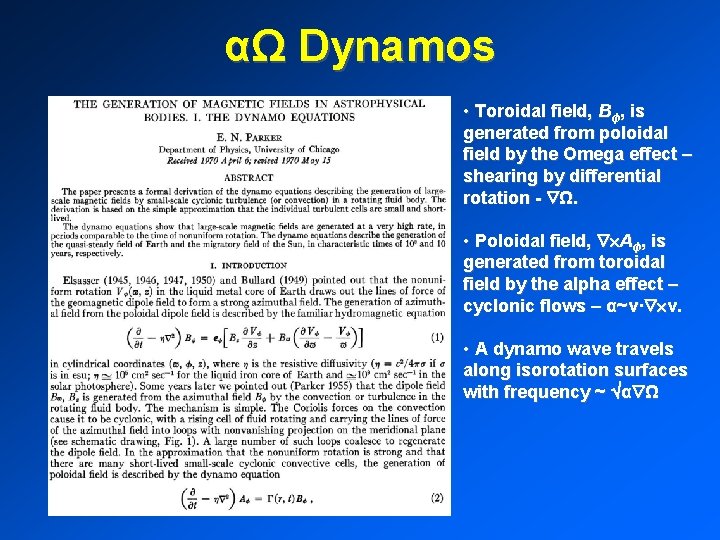 αΩ Dynamos • Toroidal field, Bɸ, is generated from poloidal field by the Omega