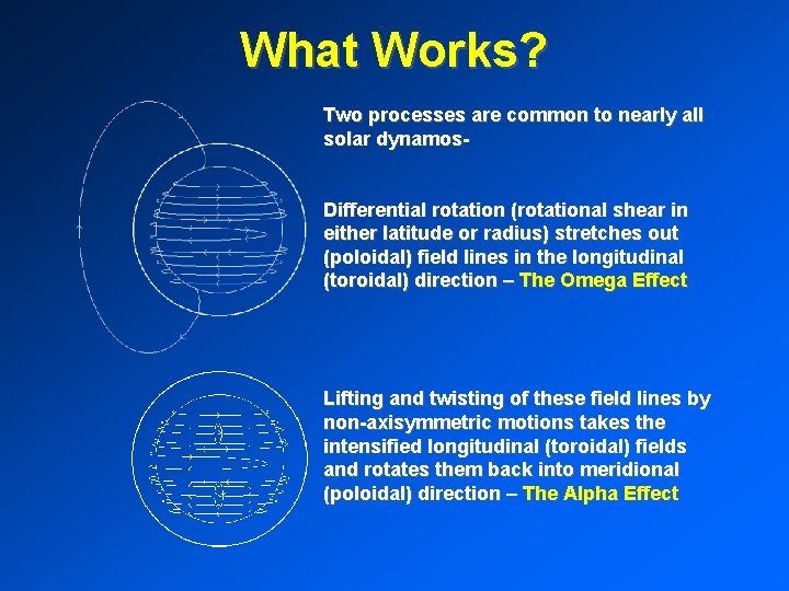 What Works? Two processes are common to nearly all solar dynamos. Differential rotation (rotational