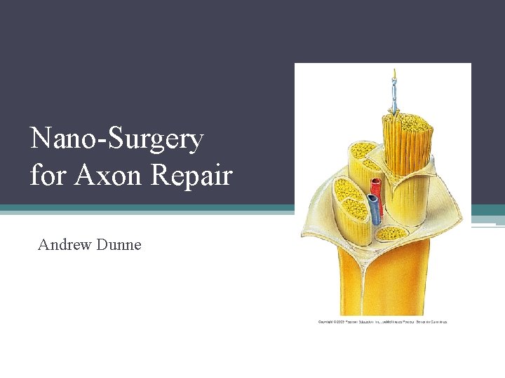 Nano-Surgery for Axon Repair Andrew Dunne 