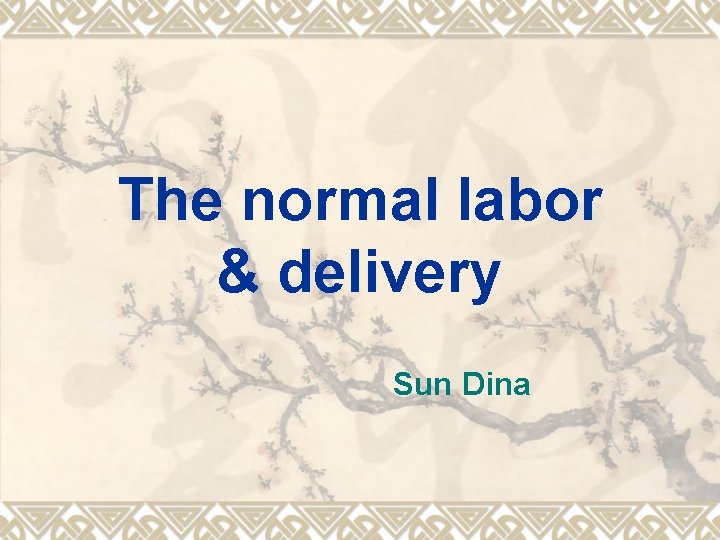The normal labor & delivery Sun Dina 
