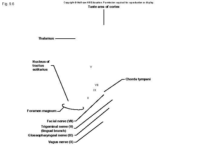 Copyright © Mc. Graw-Hill Education. Permission required for reproduction or display. Fig. 9. 6