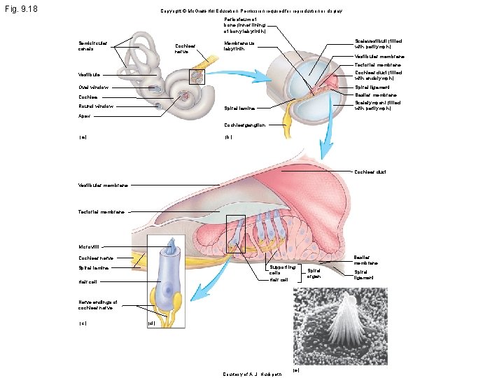 Fig. 9. 18 Copyright © Mc. Graw-Hill Education. Permission required for reproduction or display.