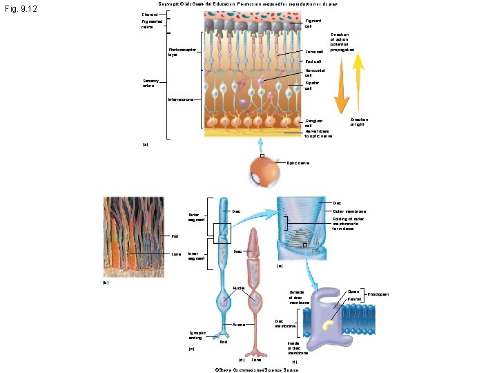 Copyright © Mc. Graw-Hill Education. Permission required for reproduction or display. Fig. 9. 12