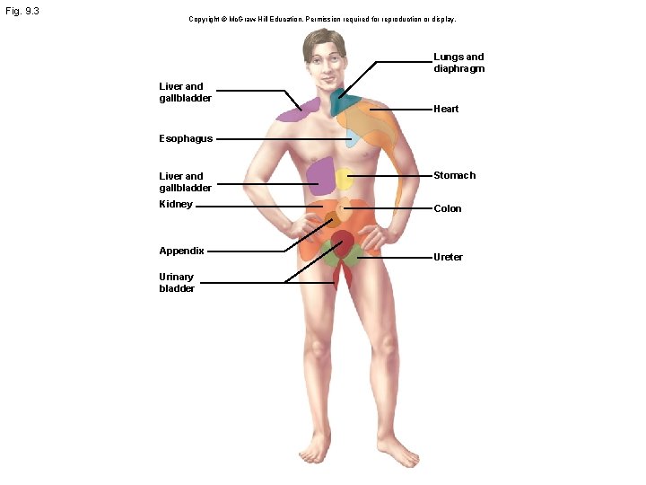Fig. 9. 3 Copyright © Mc. Graw-Hill Education. Permission required for reproduction or display.