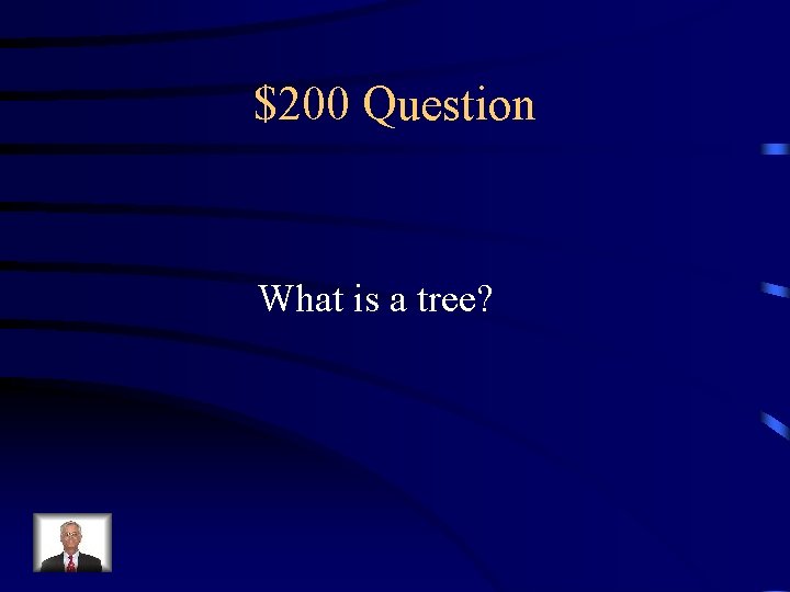 $200 Question What is a tree? 