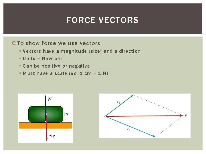 FORCE VECTORS To show force we use vectors. § § Vectors have a magnitude