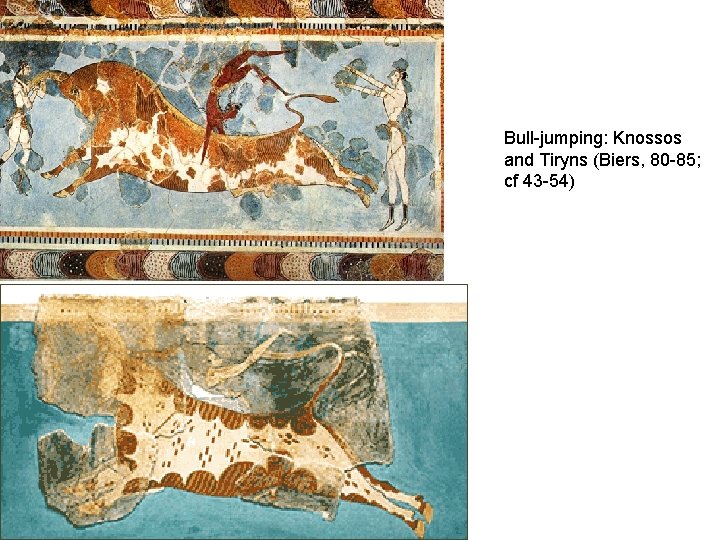 Bull-jumping: Knossos and Tiryns (Biers, 80 -85; cf 43 -54) 