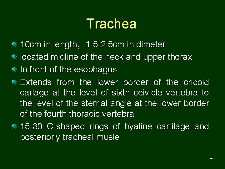 Trachea 10 cm in length，1. 5 -2. 5 cm in dimeter located midline of