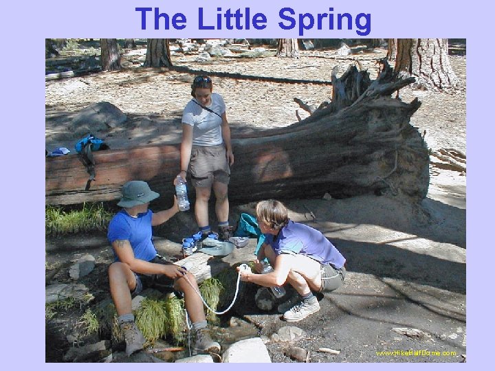 The Little Spring www. Hike. Half. Dome. com 