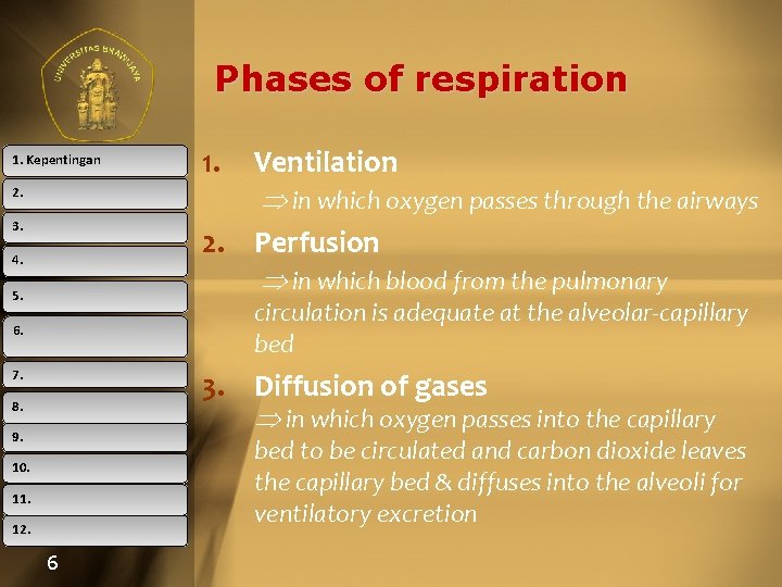 Phases of respiration 1. Kepentingan 1. Ventilation in which oxygen passes through the airways