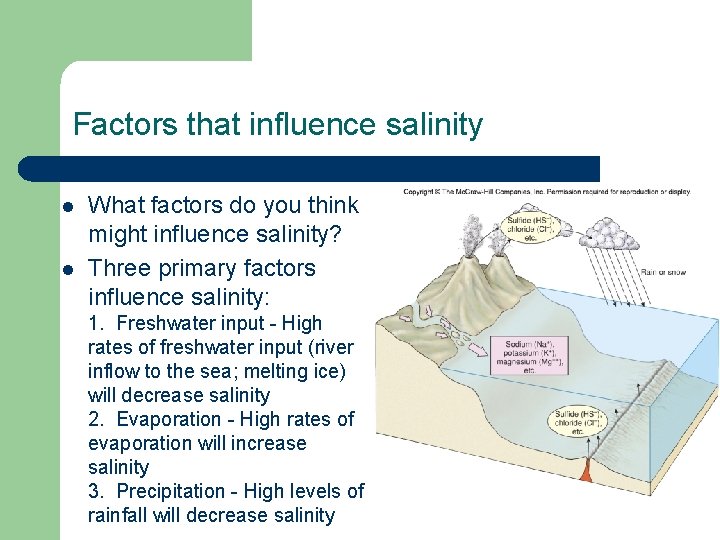 Factors that influence salinity l l What factors do you think might influence salinity?