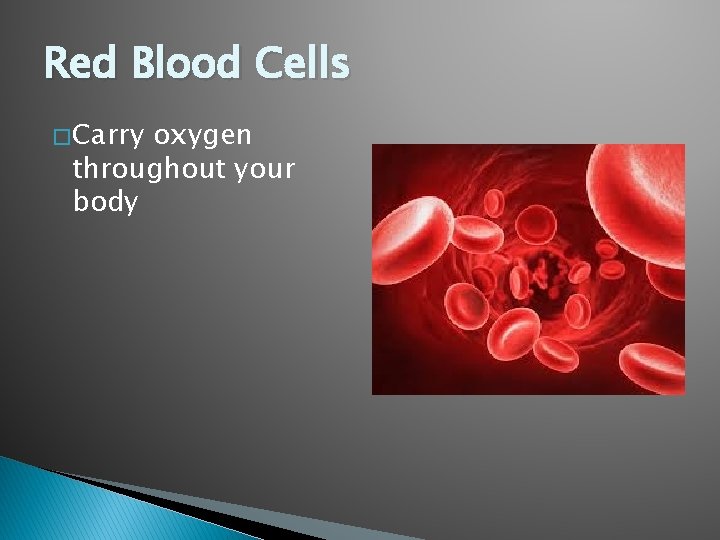 Red Blood Cells � Carry oxygen throughout your body 