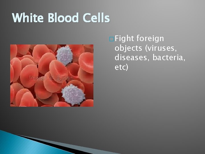 White Blood Cells � Fight foreign objects (viruses, diseases, bacteria, etc) 