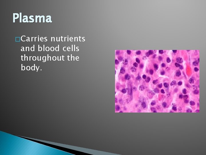 Plasma � Carries nutrients and blood cells throughout the body. 