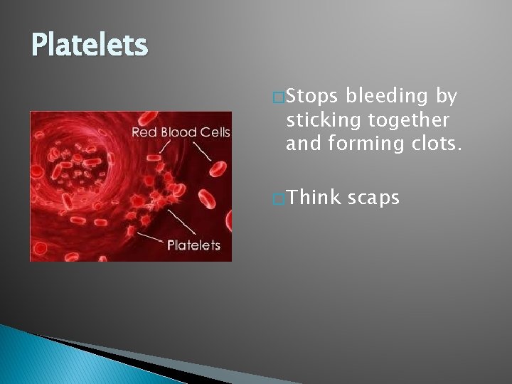 Platelets � Stops bleeding by sticking together and forming clots. � Think scaps 