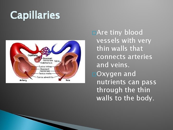 Capillaries � Are tiny blood vessels with very thin walls that connects arteries and