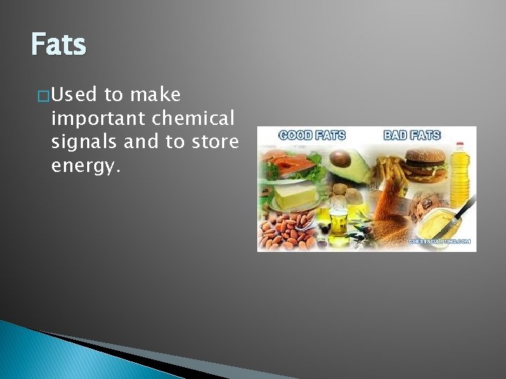 Fats � Used to make important chemical signals and to store energy. 