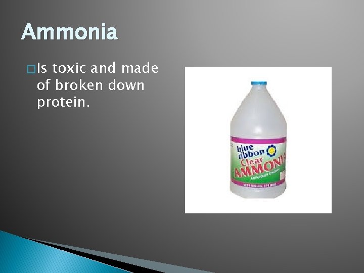 Ammonia � Is toxic and made of broken down protein. 