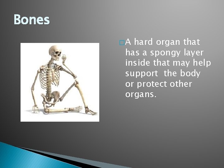 Bones �A hard organ that has a spongy layer inside that may help support