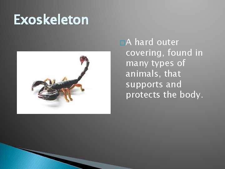 Exoskeleton �A hard outer covering, found in many types of animals, that supports and