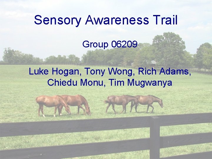 Sensory Awareness Trail Group 06209 Luke Hogan, Tony Wong, Rich Adams, Chiedu Monu, Tim